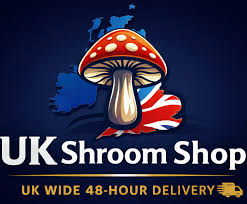the shroom shop